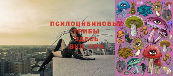 Альфа ПВП Аркадак