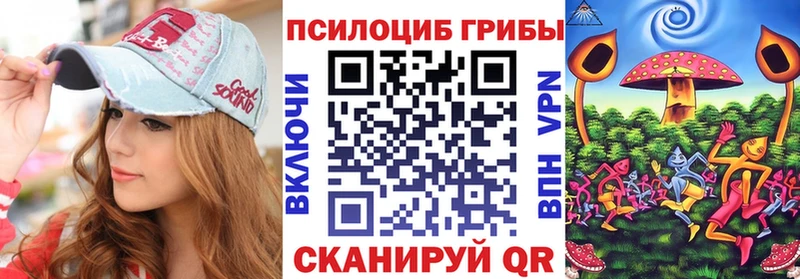 Псилоцибиновые грибы Psilocybe  Баймак 